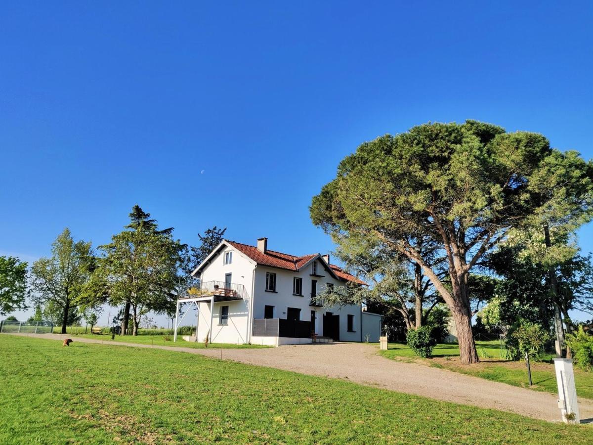 Le Cottage Nature Primeur Sauna Gaillac Entre Albi-Toulouse & Les Cottages Du Tarn Brens  المظهر الخارجي الصورة